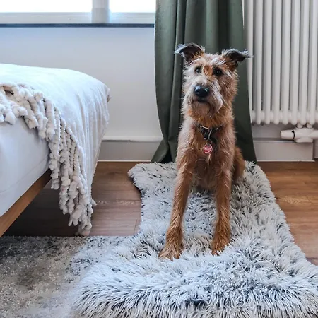 Garten 5 * Braunlage