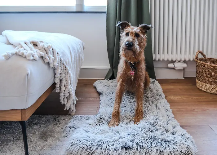 Garten 5 * Braunlage